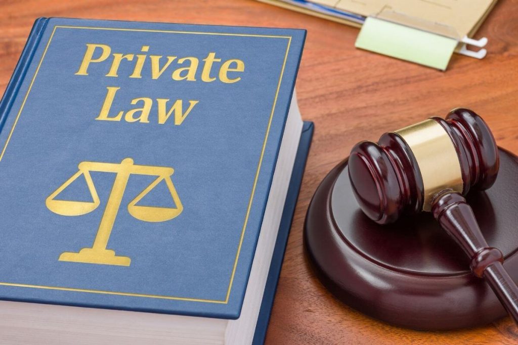From avoidance to  constitutionalisation of  private law: The puzzle  of horizontality